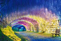 Mê mẩn những con đường hoa đẹp nhất thế giới