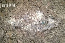 Đào được 'kho báu' khổng lồ, thanh niên lập tức đổi đời