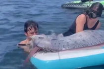 Chèo thuyền kayak, bất ngờ đụng trúng 'cá tận thế'