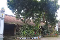 Tổ ngoại của Tam Nguyên Yên Đổ Nguyễn Khuyến: Từng đỗ Đệ nhị giáp Tiến sĩ