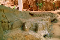 Cuốc trúng 'con rồng' dài 400m, chuyên gia lập tức phong toả hiện trường