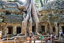 Top 8 loài cây kỳ quái, khó tin nhất Trái đất