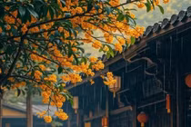 Cây cảnh 'chiêu quý nhân, rước tài lộc', hoa nở như suối chảy