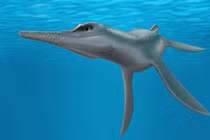 Quái vật 80 triệu tuổi đầu cá sấu, mình cá heo bất ngờ lộ diện