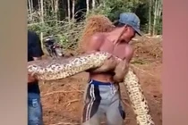 Dọn đường dẫn vào làng, hết hồn "quái thú" khổng lồ 6m trườn ra