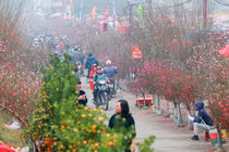 Lý giải nguyên nhân 8 năm nữa mới có ngày 30 Tết