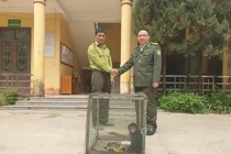 Khỉ mặt đỏ bàn giao cho Hạt Kiểm lâm: Loài trong Sách Đỏ Việt Nam
