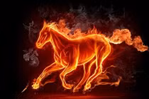 Sát Tết Ất Tỵ 2025, 3 con giáp vận may ùa về tới tấp