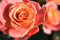 Ai sinh vào 4 ngày Âm lịch này, về già phúc đức đầy nhà