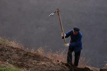 Cuốc đất đụng trúng báu vật, trưởng thôn vội vã báo chính quyền