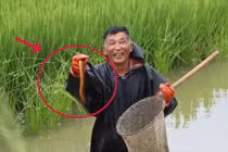 Tháng 7 ong, tháng 8 rắn, tháng 9 không nên quấy nhiễu lươn, tại sao?