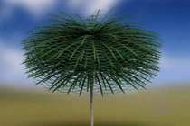 Lộ diện hóa thạch cổ thụ ngoài hành tinh 350 triệu năm cực hiếm 