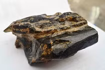 Bán hớ khúc gỗ quý hàng đầu Việt Nam, nông dân tiếc 'ngất người'