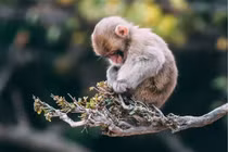 Đập vỡ vỏ bọc, 3 tuổi thăng tiến ngoạn mục nửa cuối năm 2024