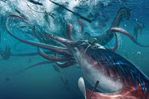 Rợn người loài thuỷ quái khổng lồ đáng sợ nhất đại dương