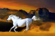 Phi nước đại nửa cuối tháng 8 âm, 3 tuổi phát tài, hốt bạc