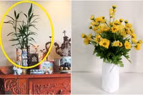 Dùng loại hoa cúng này đảm bảo gặp nhiều may mắn dịp lễ Tết