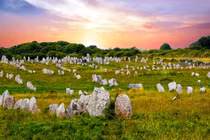 Bí ẩn 'khu rừng tượng đá' xếp ngay ngắn, giới khoa học rối bời