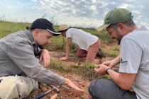 Lộ diện thủy quái 249 triệu tuổi, loài chưa từng được biết đến