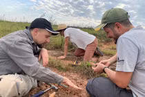 Lộ diện thủy quái 249 triệu tuổi, loài chưa từng được biết đến