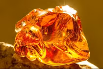 Hòn đá dùng chặn cửa hàng chục năm, ai ngờ là 'báu vật'