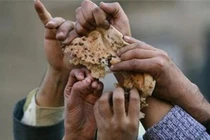 Dự báo rùng mình về năm 2050, nhân loại sợ nhất điều gì?