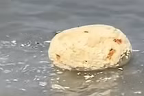 Nhặt được "vật thể lạ" ở biển, thanh niên chớp mắt đổi đời