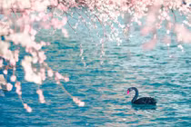 Số cuối trong ngày sinh Âm lịch tiết lộ vận mệnh của bạn