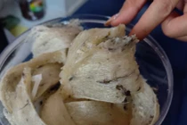 Long An: Người dân xây nhà nuôi “chim tiền tỷ“