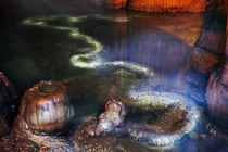 'Rồng thật' gần 13 m xuất hiện, chuyên gia lên tiếng