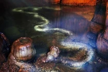 'Rồng thật' gần 13 m bất ngờ xuất hiện, chuyên gia choáng váng