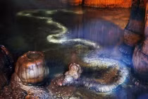 'Rồng thật' gần 13 m bất ngờ xuất hiện, chuyên gia choáng váng