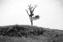 Quá khứ tang tóc của 'vùng đất phù thủy' Salem