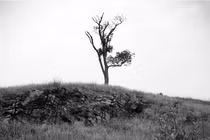 Quá khứ tang tóc của 'vùng đất phù thủy' Salem