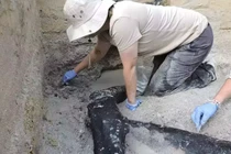 Mở mộ nữ hoàng cai trị Ai Cập cổ đại, chuyên gia “nhức não” vì...