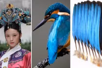 Sự thật nhuốm máu đằng sau vẻ đẹp xa hoa 