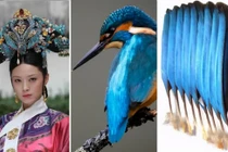 Sự thật nhuốm máu đằng sau vẻ đẹp xa hoa 