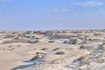 Bí ẩn về 'hòn đảo chết chóc' nhất Trái Đất