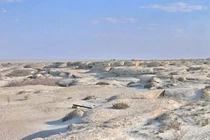 Bí ẩn về 'hòn đảo chết chóc' nhất Trái Đất