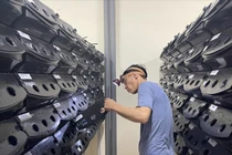 Độc đáo mô hình nuôi cua biển trong hộp nhựa ở Ninh Bình