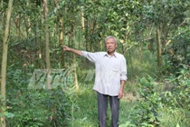 Kỳ 3: “Thần hổ xám ở Thanh Hóa“: “Ác thú” ăn thịt hai thiếu nữ