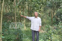 Kỳ 3: “Thần hổ xám ở Thanh Hóa“: “Ác thú” ăn thịt hai thiếu nữ