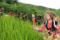 Hành trình phá án: Cái chết tức tưởi của người phụ nữ dưới khe nước cạn