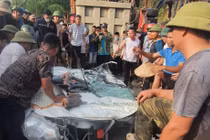 Vụ tai nạn 3 người chết ở Hòa Bình: Tài xế xe tải khai gì?