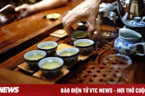 Sự khác biệt giữa uống trà và nước đun sôi để nguội: Loại nào lợi ích lớn hơn?