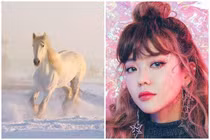 Ngày 20/11 Âm lịch: 3 con giáp hứng trọn xui xẻo