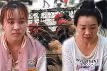 Người phụ nữ buôn gà và bịch ma túy đầy “bí ẩn“