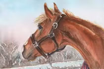 Tử vi tuần mới (31/10 - 6/11): top 3 con giáp nhận lộc trời ban