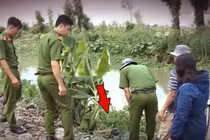 Hành trình phá án: Rùng rợn xác chết dưới đám lục bình 