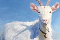 Tháng 2 âm lịch hoan hỷ: 4 con giáp sự nghiệp thăng hoa